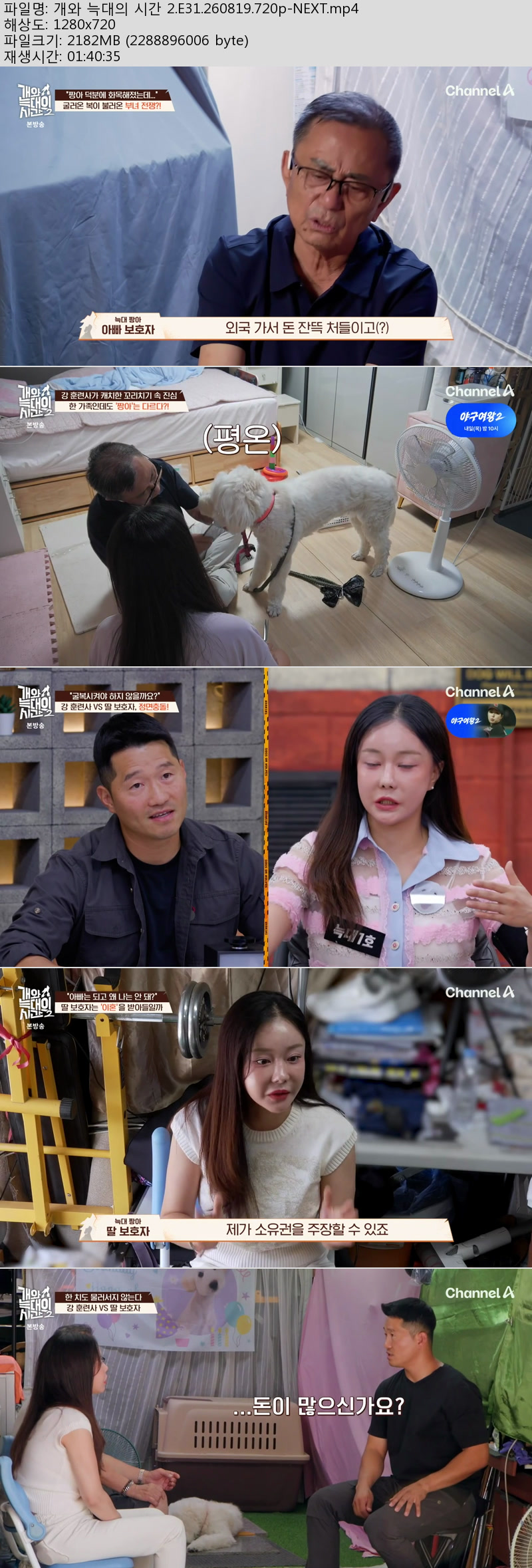 개와 늑대의 시간 2.E31.260819.720p-NEXT