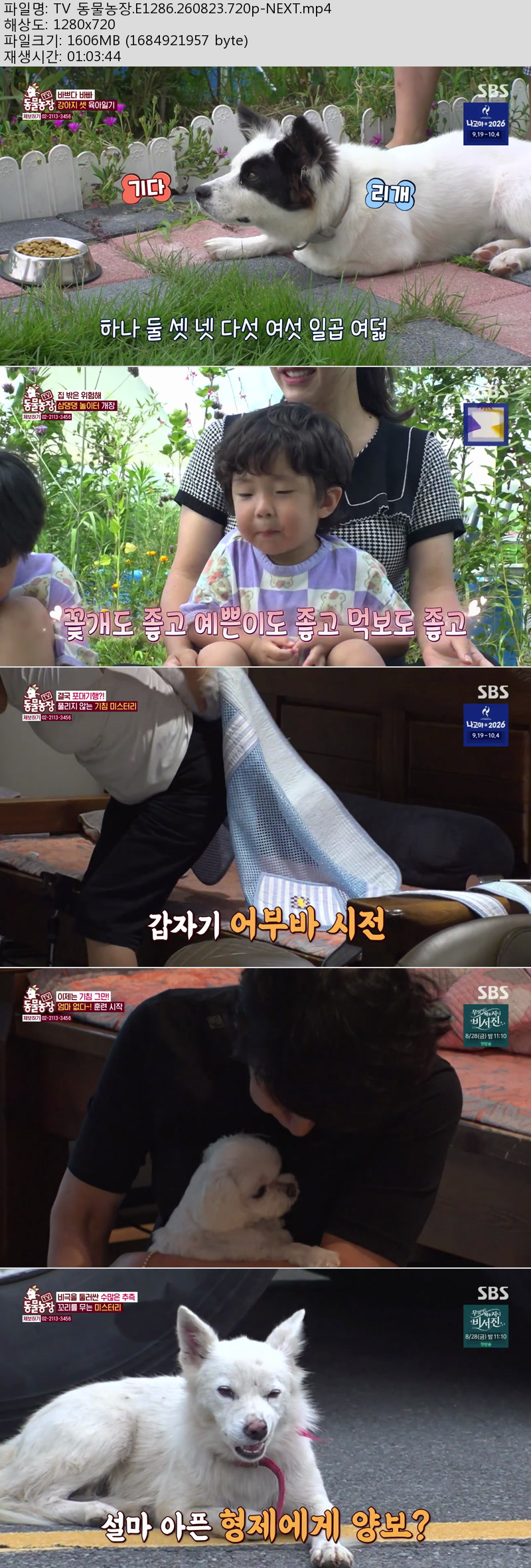 TV 동물농장.E1286.260823.720p-NEXT