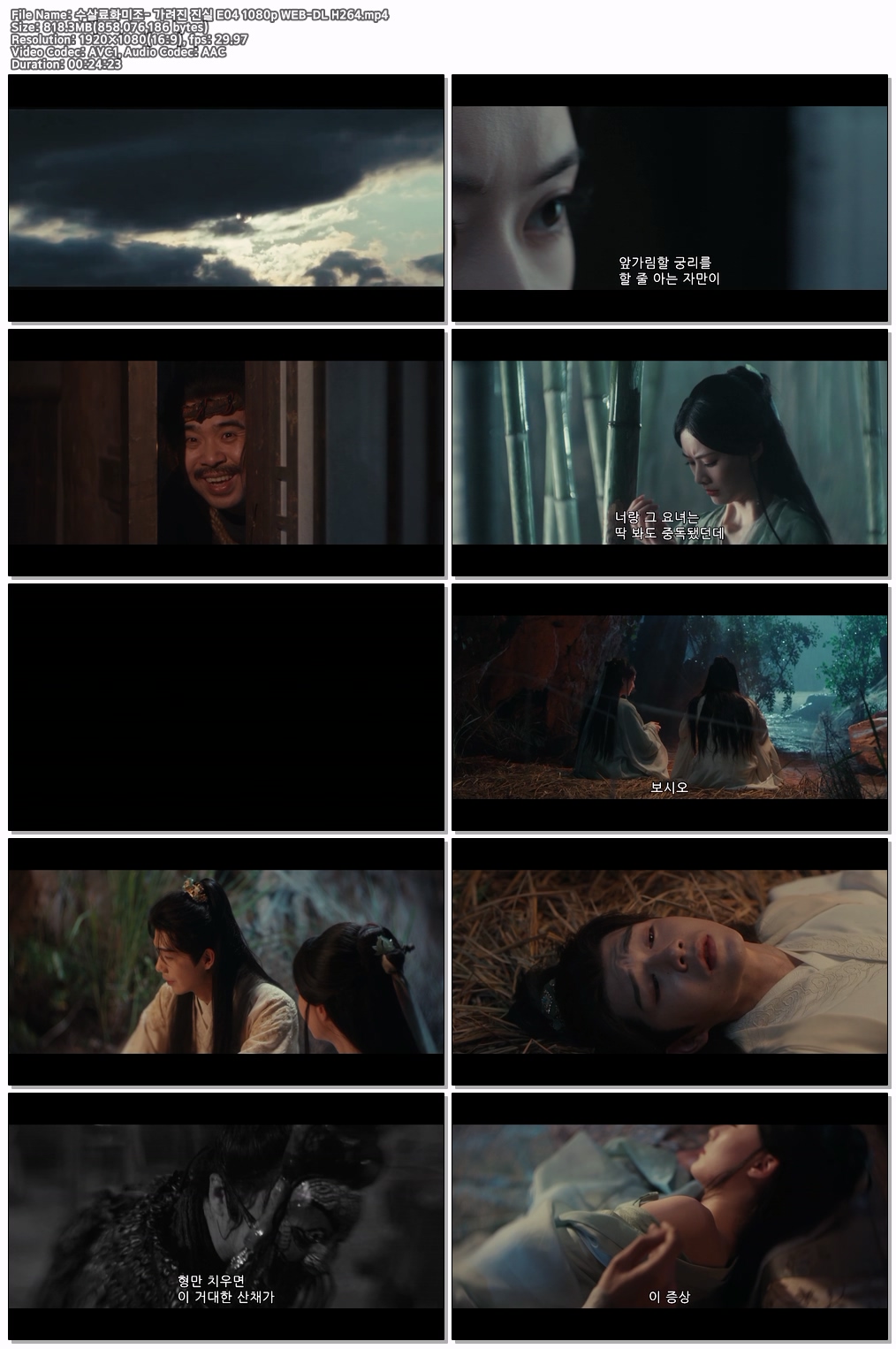 수살료화미조- 가려진 진실 E04 (1080p)