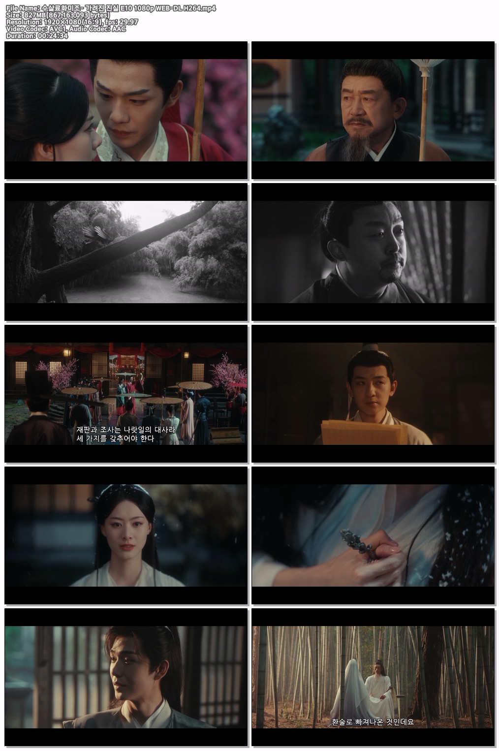 수살료화미조- 가려진 진실 E10 최종회 (1080p)