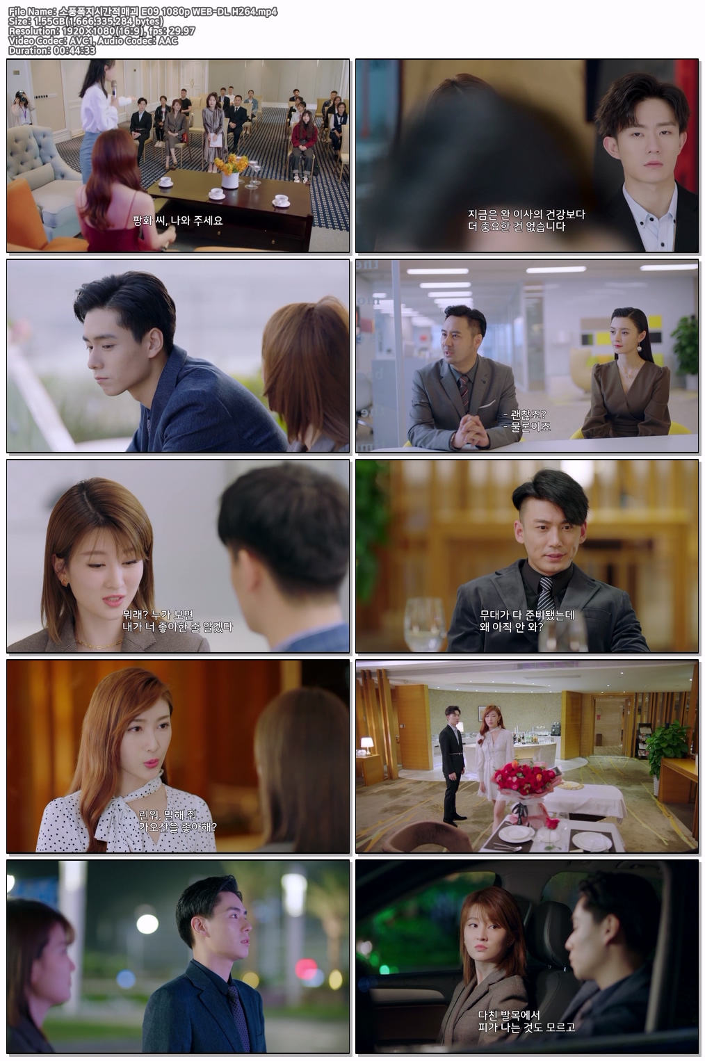 소풍폭지시간적매괴 E09 1080p WEB-DL H264