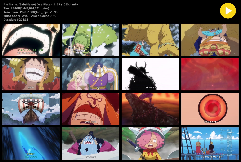 원피스 One Piece - 1175화 (1920x1080)