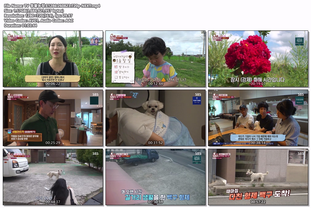 TV 동물농장.E1286.260823.720p-NEXT