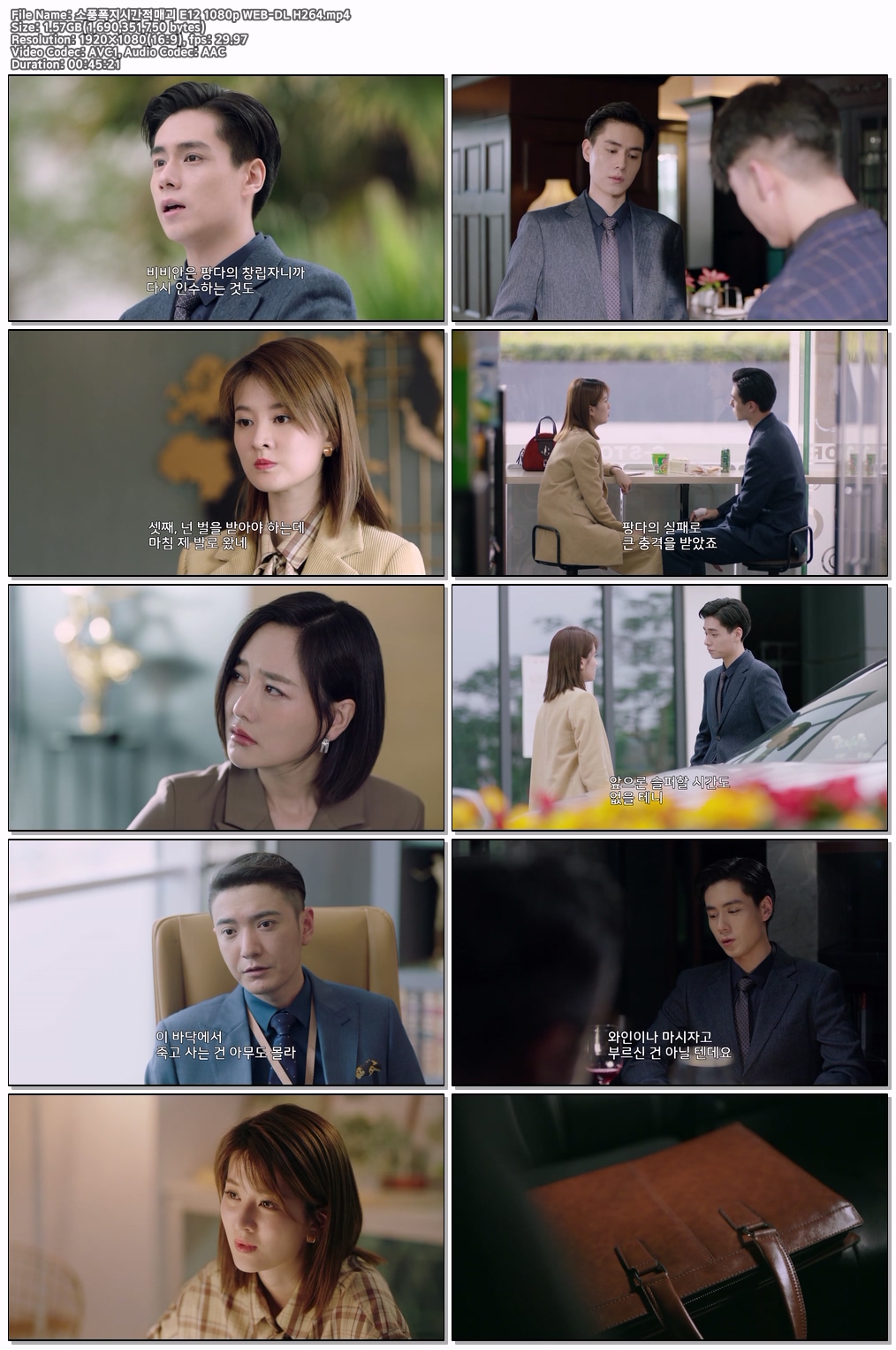 소풍폭지시간적매괴 E12 1080p WEB-DL H264
