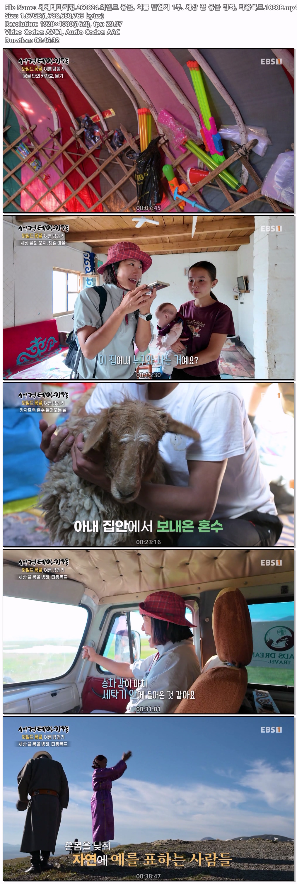 세계테마기행.260824.와일드 몽골, 여름 탐험기 1부. 세상 끝 몽골 빙하, 타왕복드.1080P