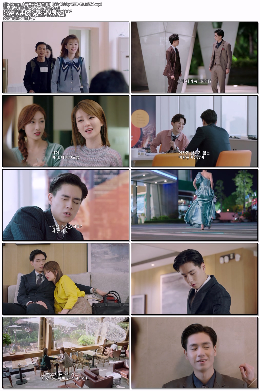 소풍폭지시간적매괴 E23 1080p WEB-DL H264