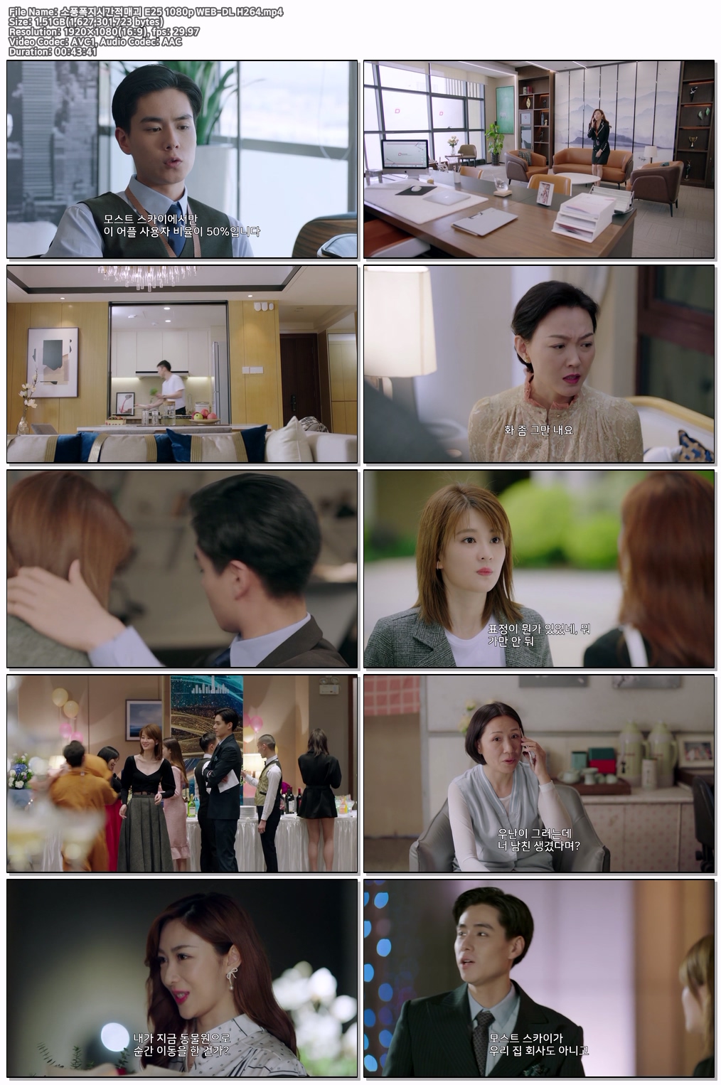 소풍폭지시간적매괴 E25 1080p WEB-DL H264