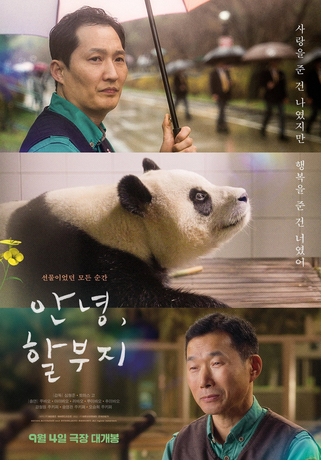 안녕, 할부지 "1354일 함께한 푸바오와의 시간이 이제 마지막을 향한다."