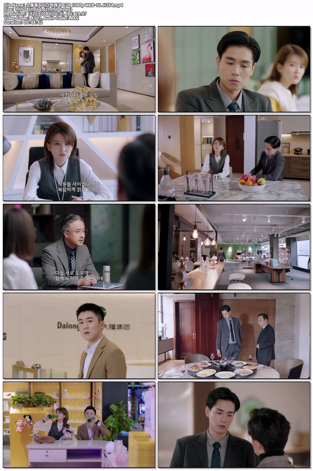 소풍폭지시간적매괴 E28 1080p WEB-DL H264