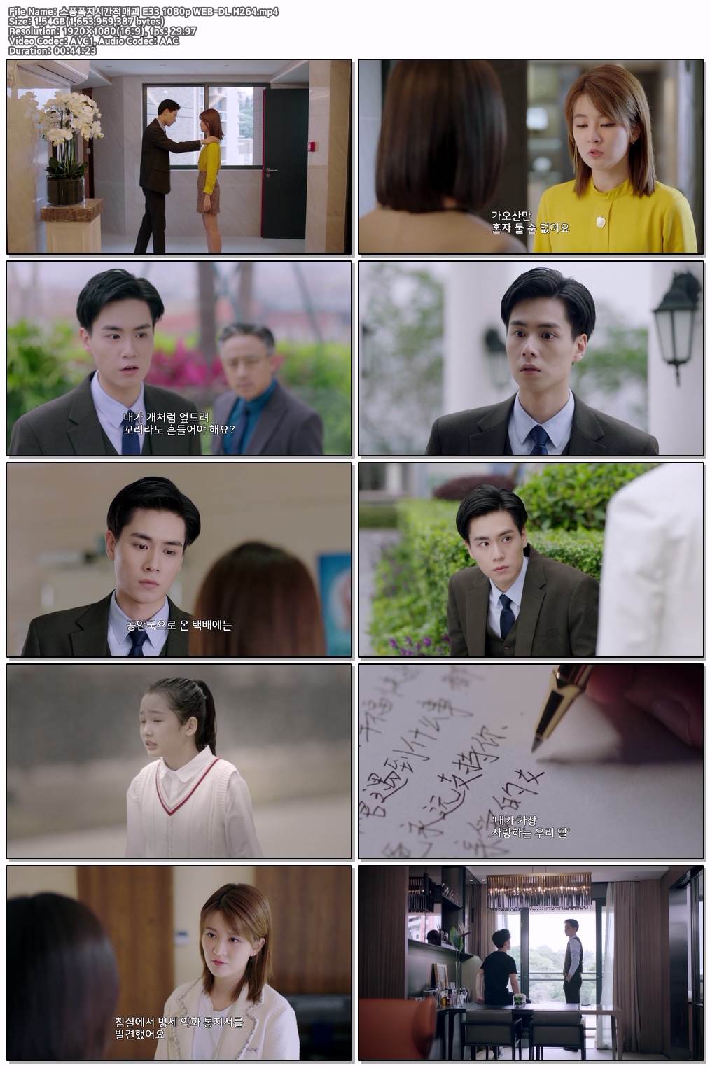 소풍폭지시간적매괴 E33 1080p WEB-DL H264