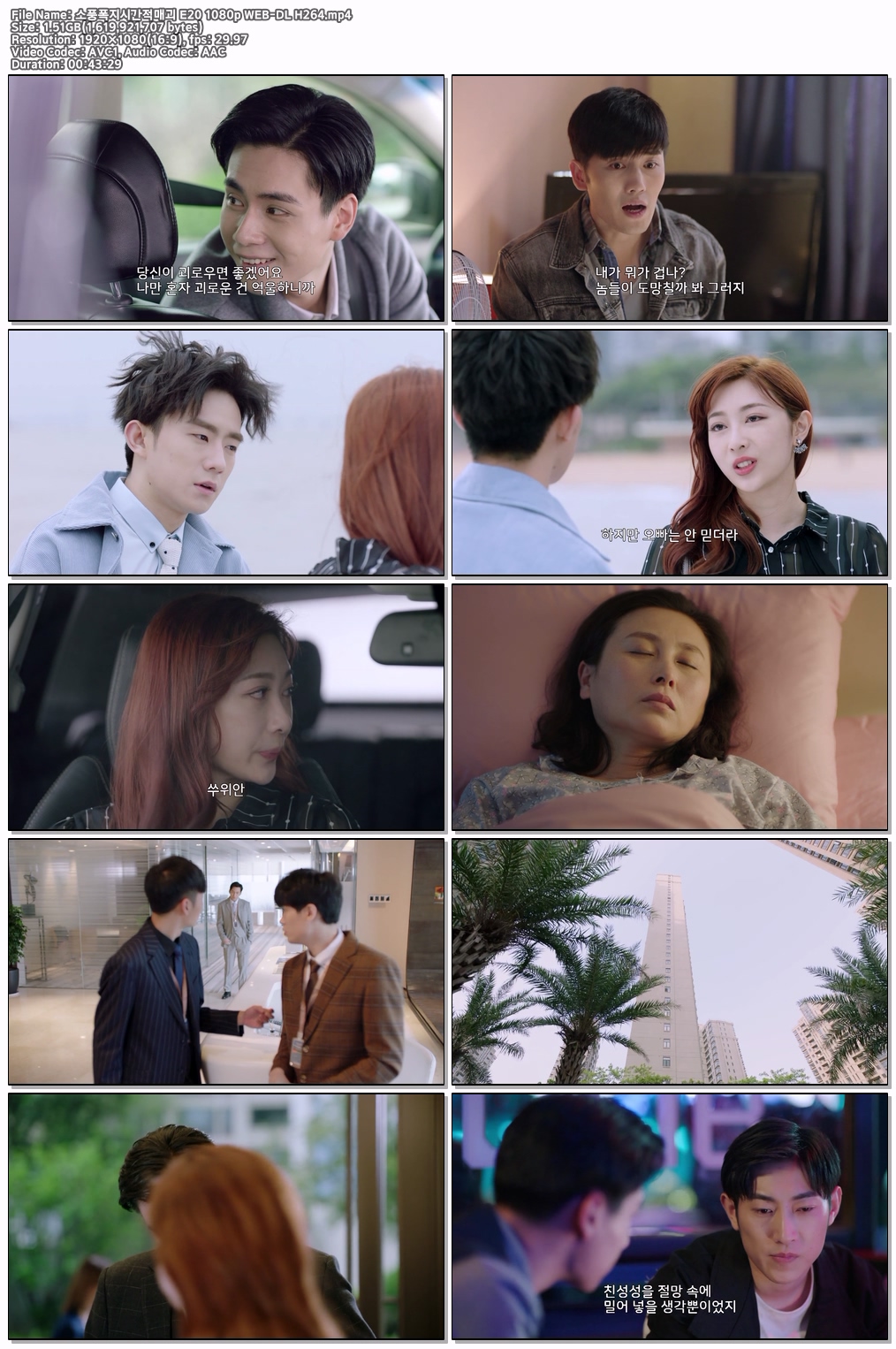 소풍폭지시간적매괴 E20 1080p WEB-DL H264