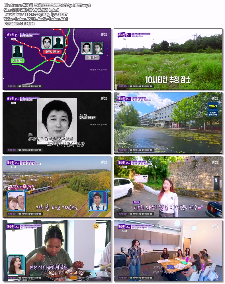톡파원 25시.E222.260824.720p-NEXT