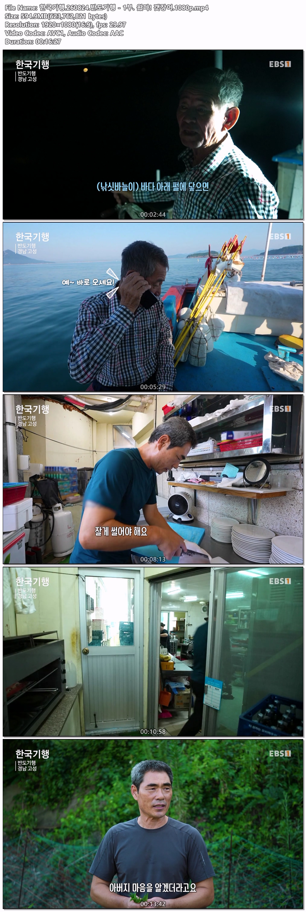 한국기행.260824.반도기행 - 1부. 왔다! 갯장어.1080p