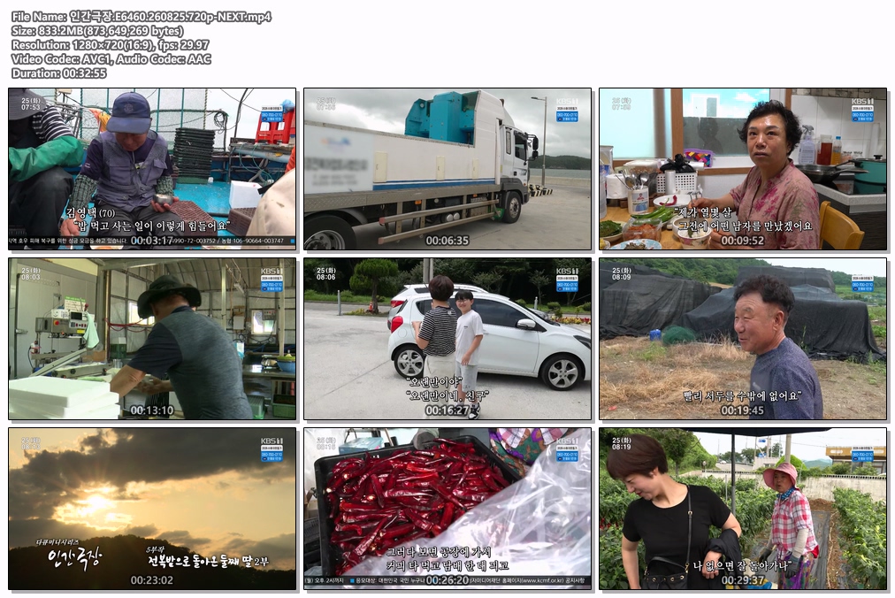 인간극장.E6460.260825.720p-NEXT