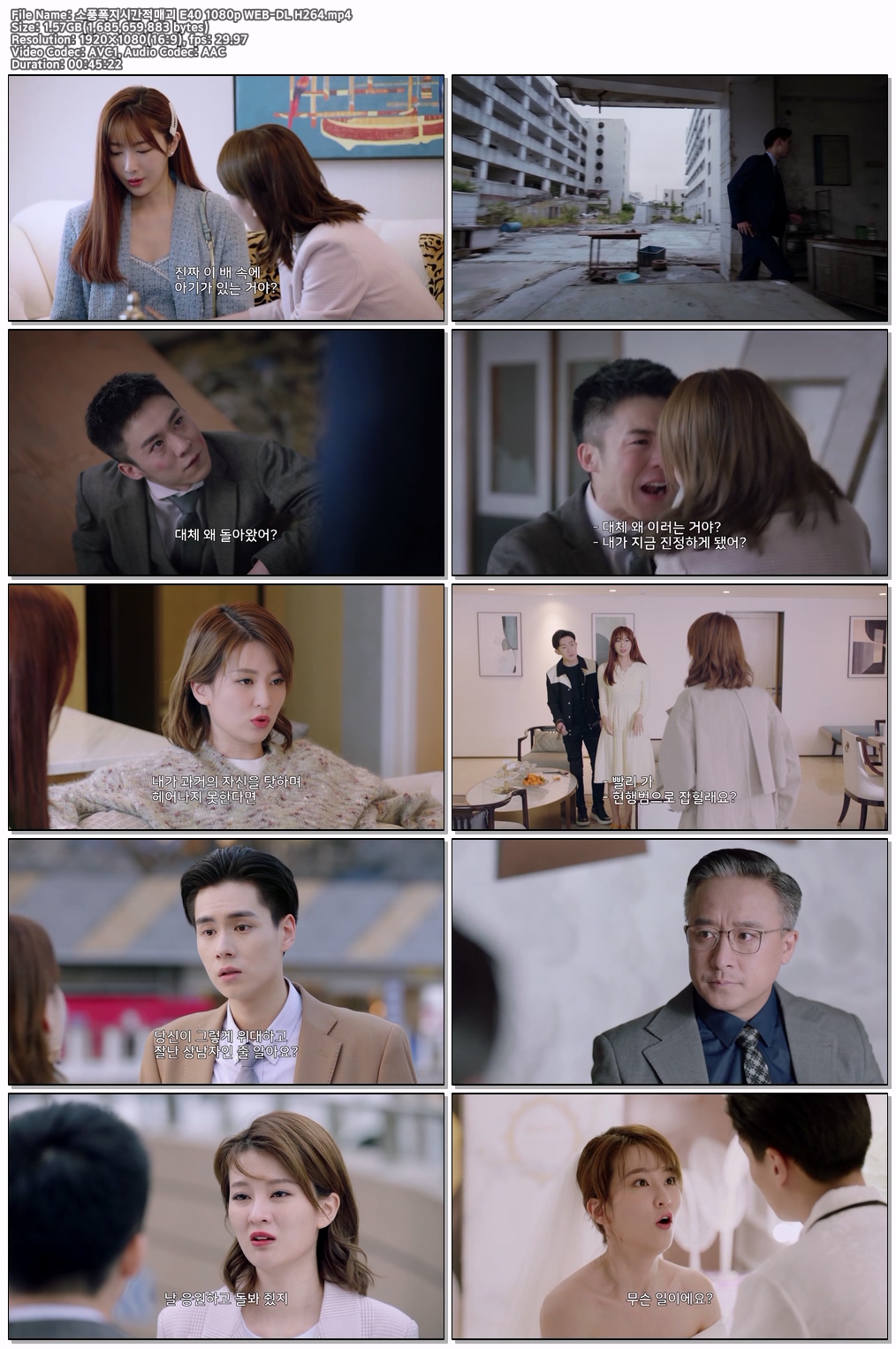소풍폭지시간적매괴 E40 최종화 1080p WEB-DL H264