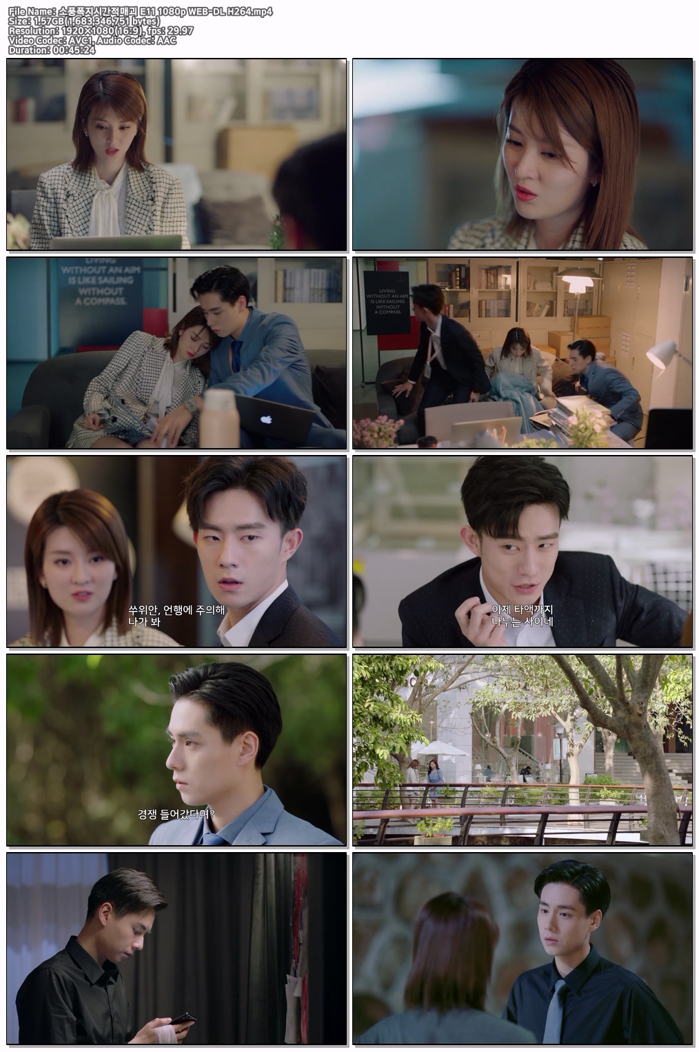 소풍폭지시간적매괴 E11 1080p WEB-DL H264