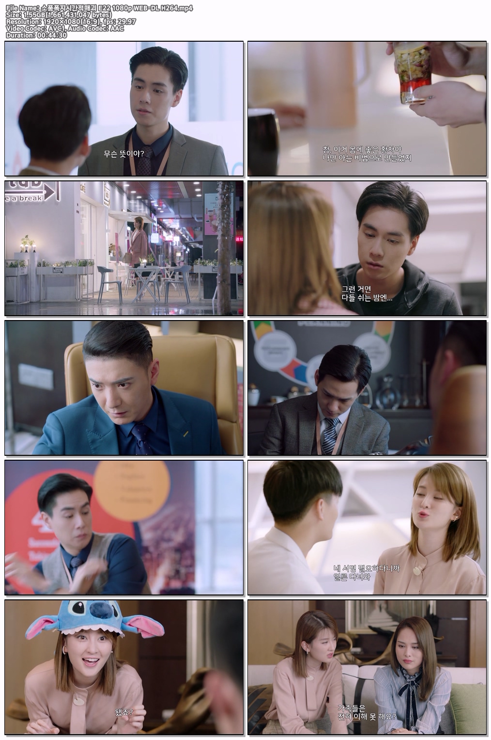 소풍폭지시간적매괴 E22 1080p WEB-DL H264