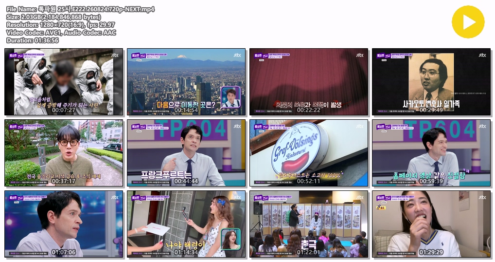톡파원 25시.E222.260824.720p-NEXT