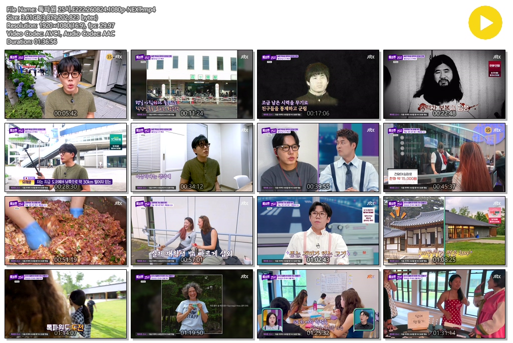 톡파원 25시.E222.260824.1080p-NEXT