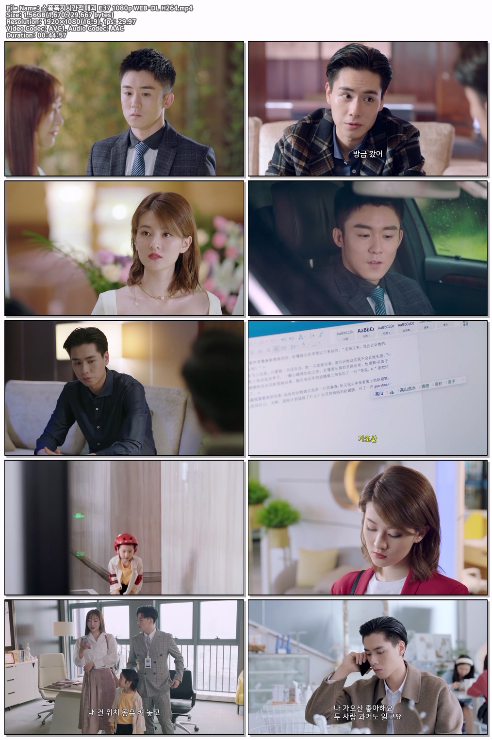 소풍폭지시간적매괴 E37 1080p WEB-DL H264