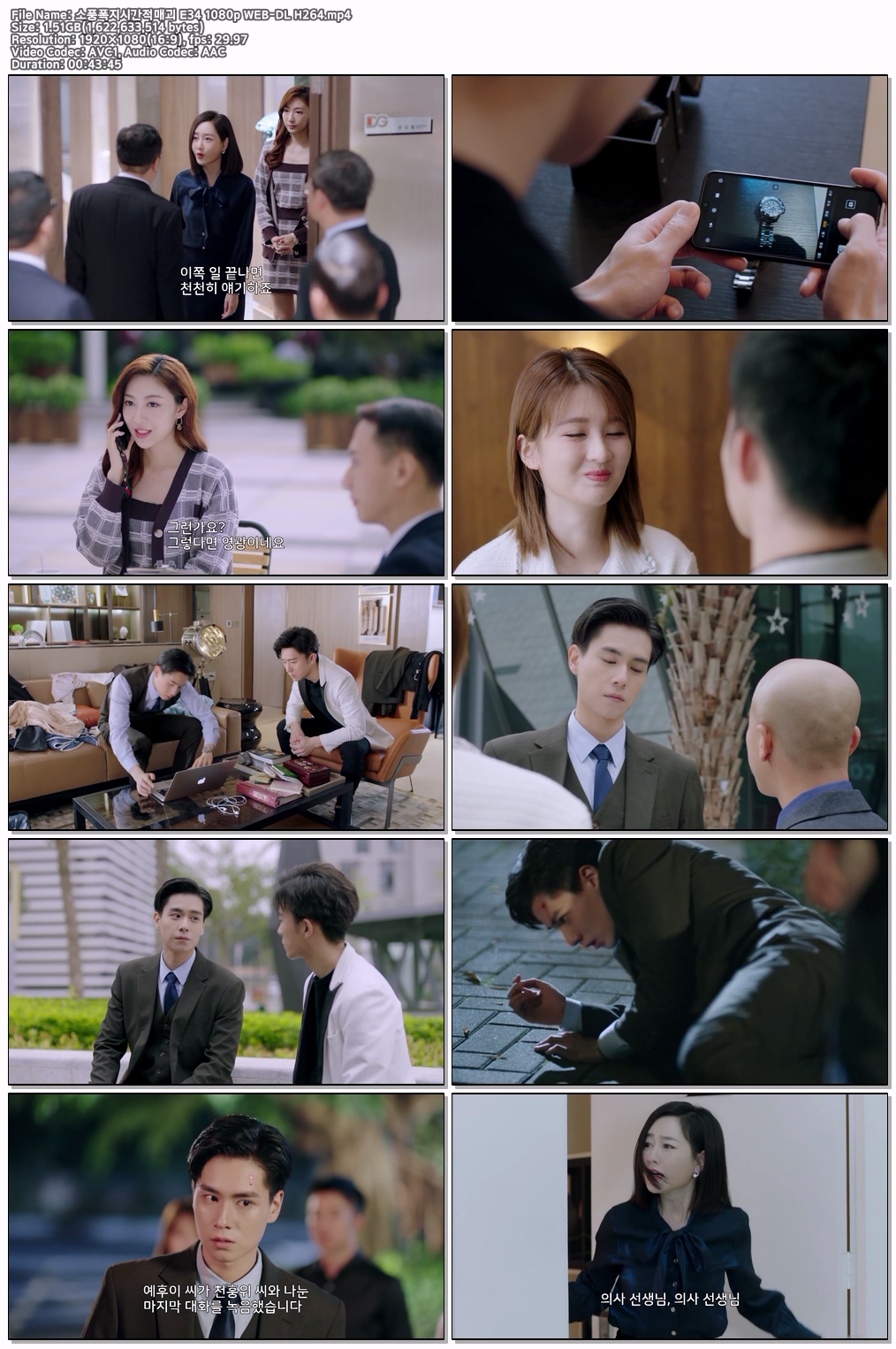 소풍폭지시간적매괴 E34 1080p WEB-DL H264