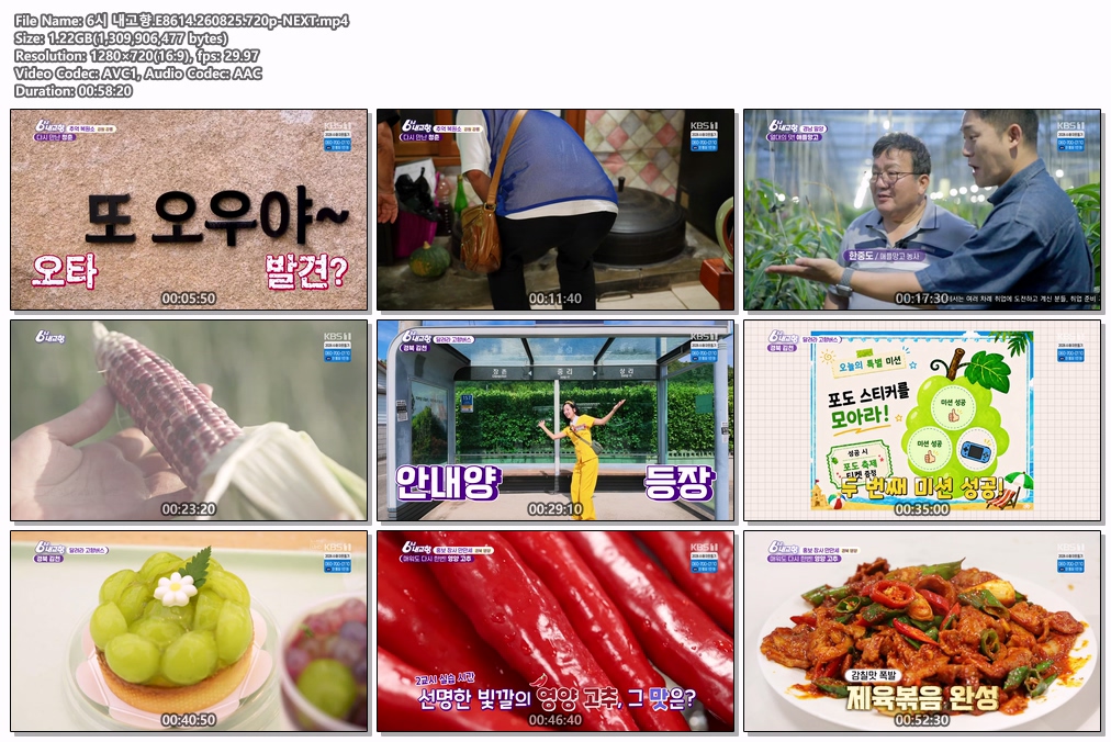 6시 내고향.E8614.260825.720p-NEXT