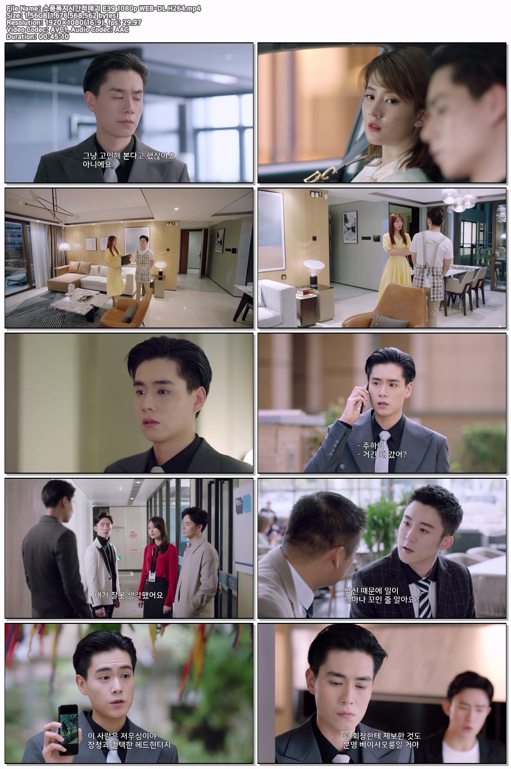 소풍폭지시간적매괴 E39 1080p WEB-DL H264