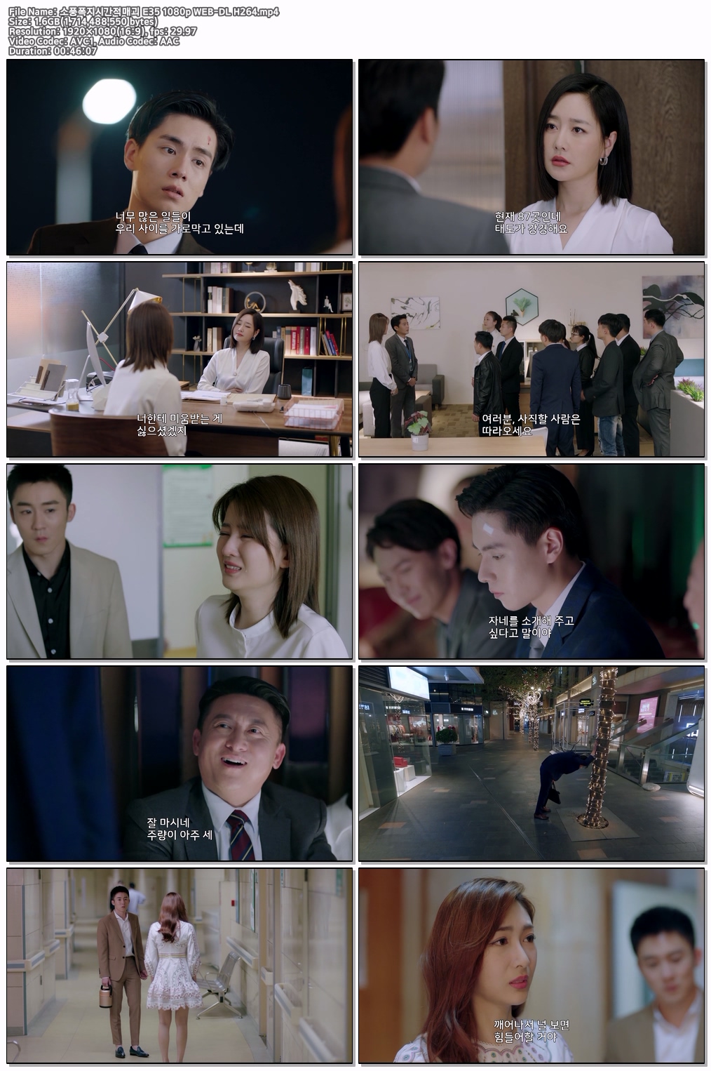 소풍폭지시간적매괴 E35 1080p WEB-DL H264
