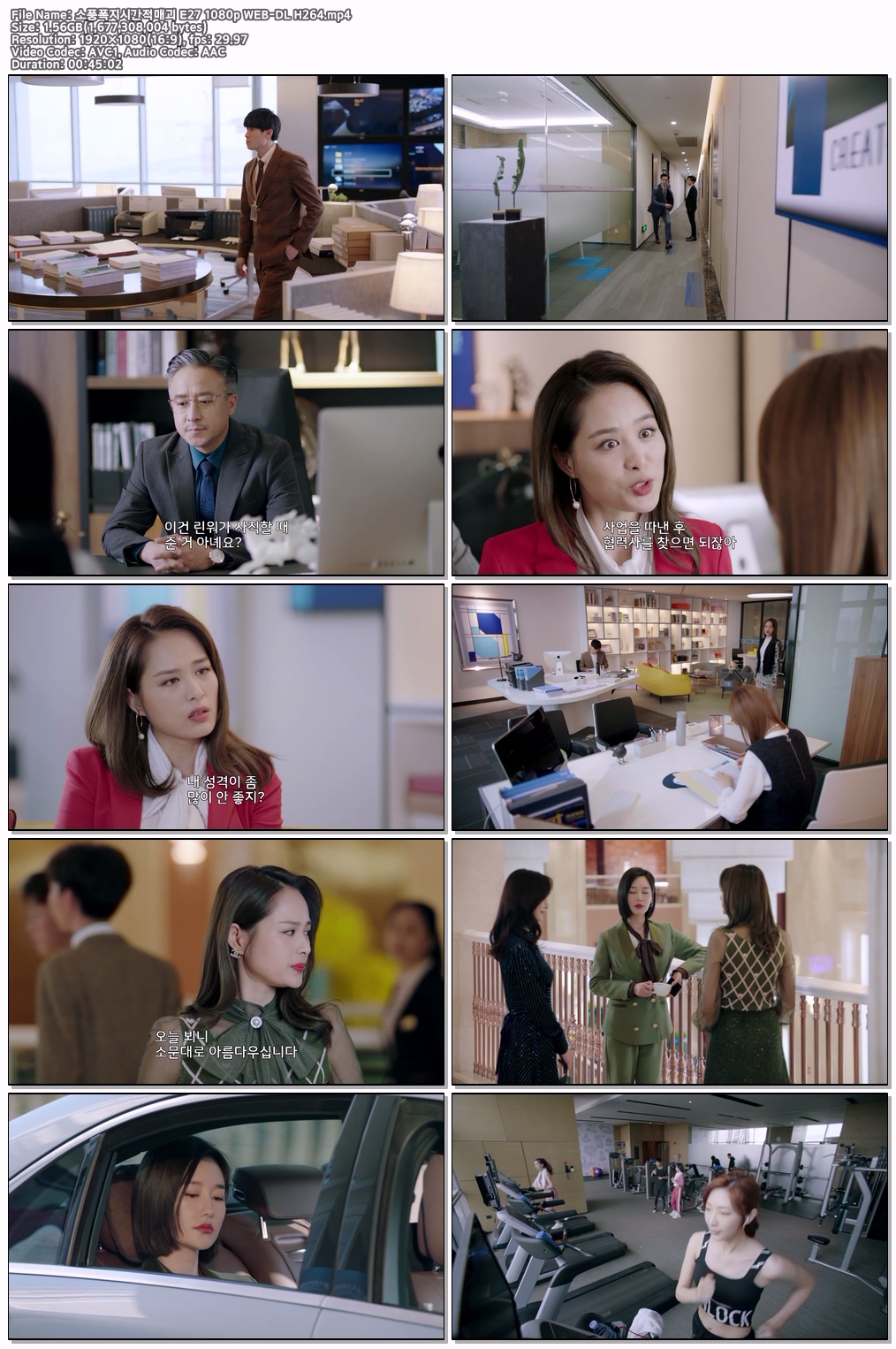 소풍폭지시간적매괴 E27 1080p WEB-DL H264