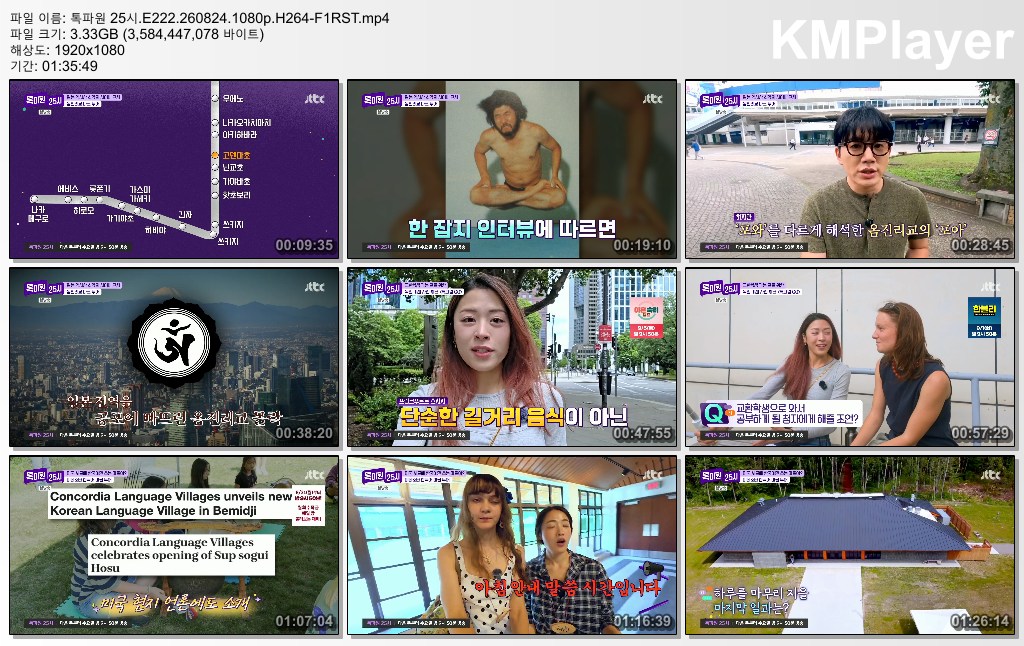 톡파원 25시.E222.260824.1080p.H264-F1RST