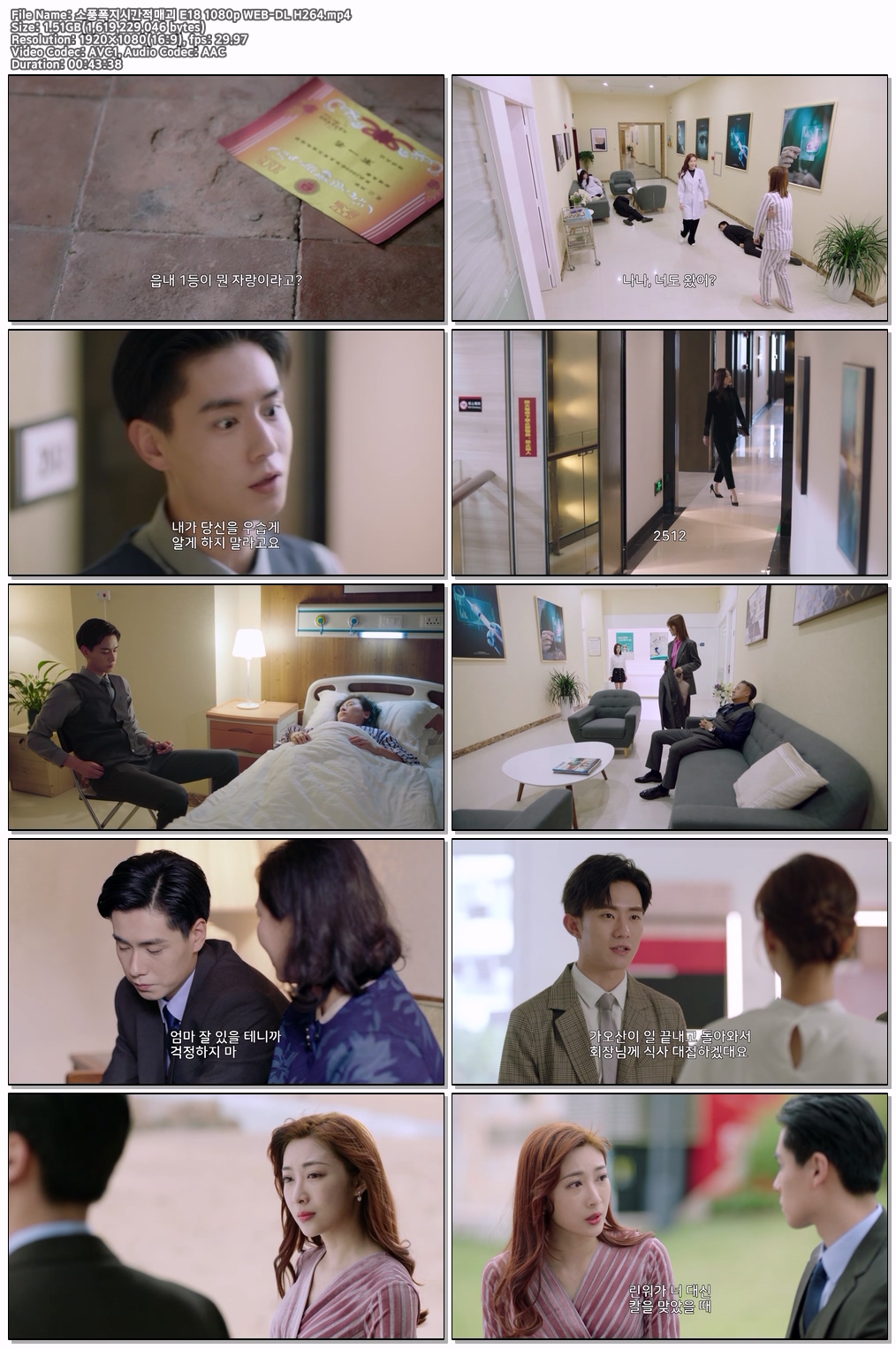 소풍폭지시간적매괴 E18 1080p WEB-DL H264