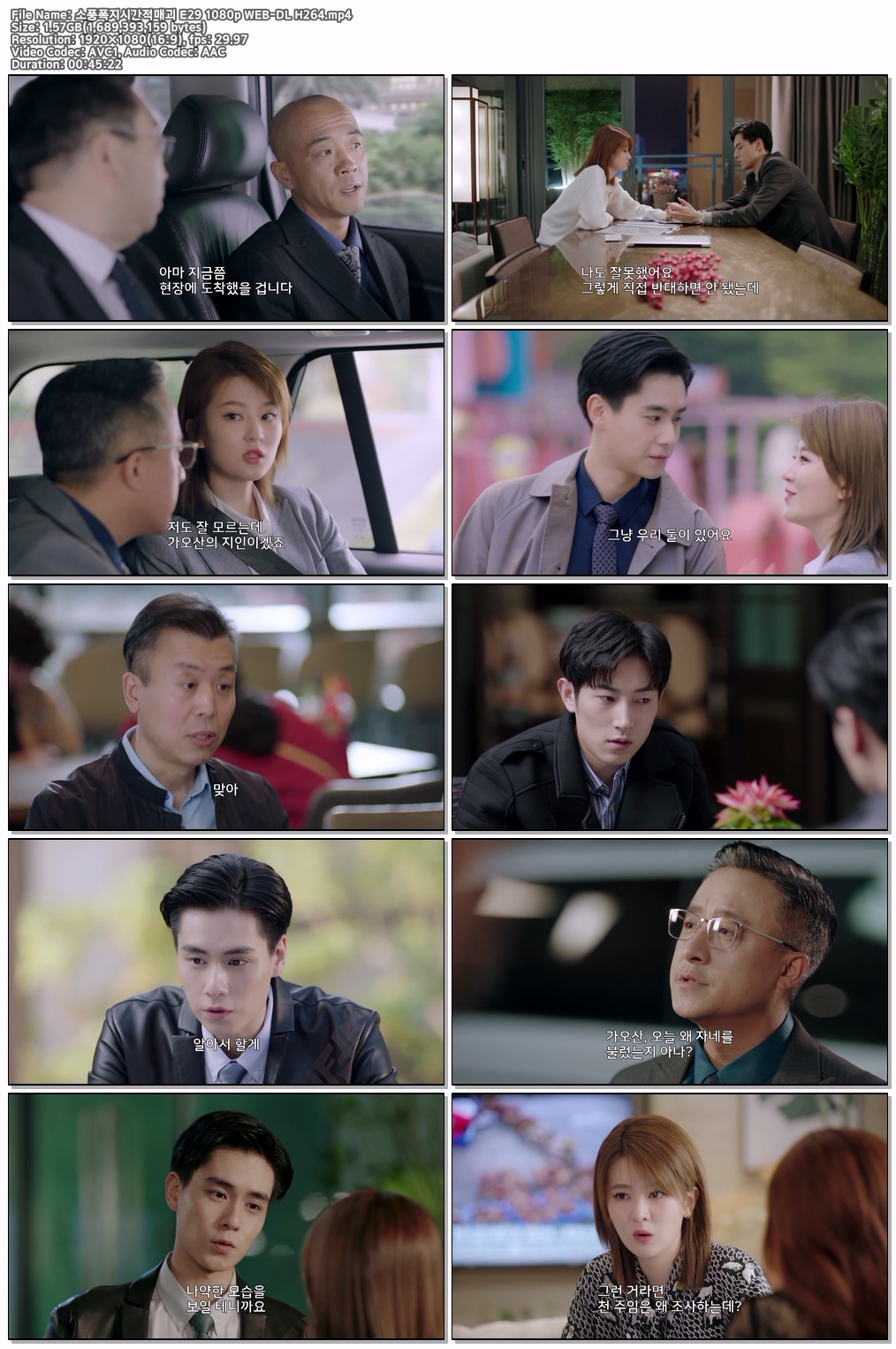 소풍폭지시간적매괴 E29 1080p WEB-DL H264