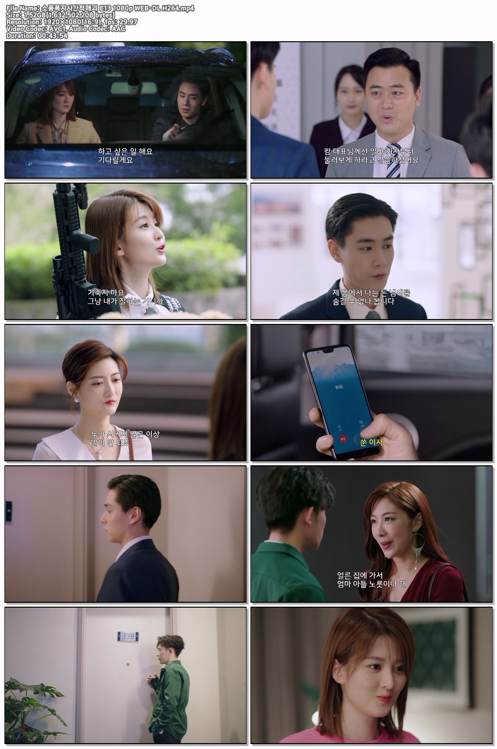 소풍폭지시간적매괴 E13 1080p WEB-DL H264