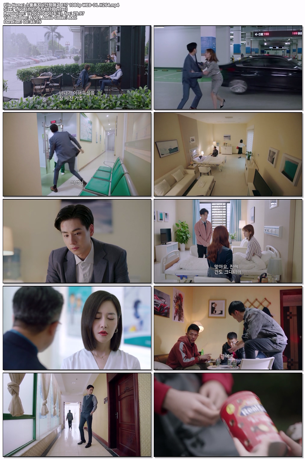 소풍폭지시간적매괴 E17 1080p WEB-DL H264