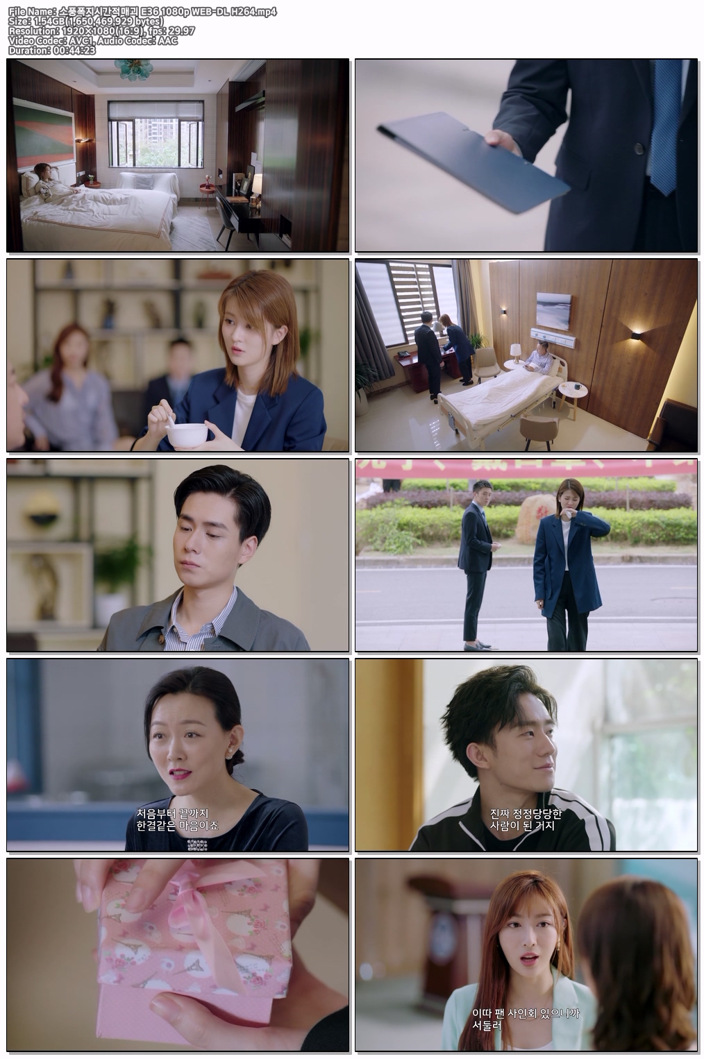 소풍폭지시간적매괴 E36 1080p WEB-DL H264