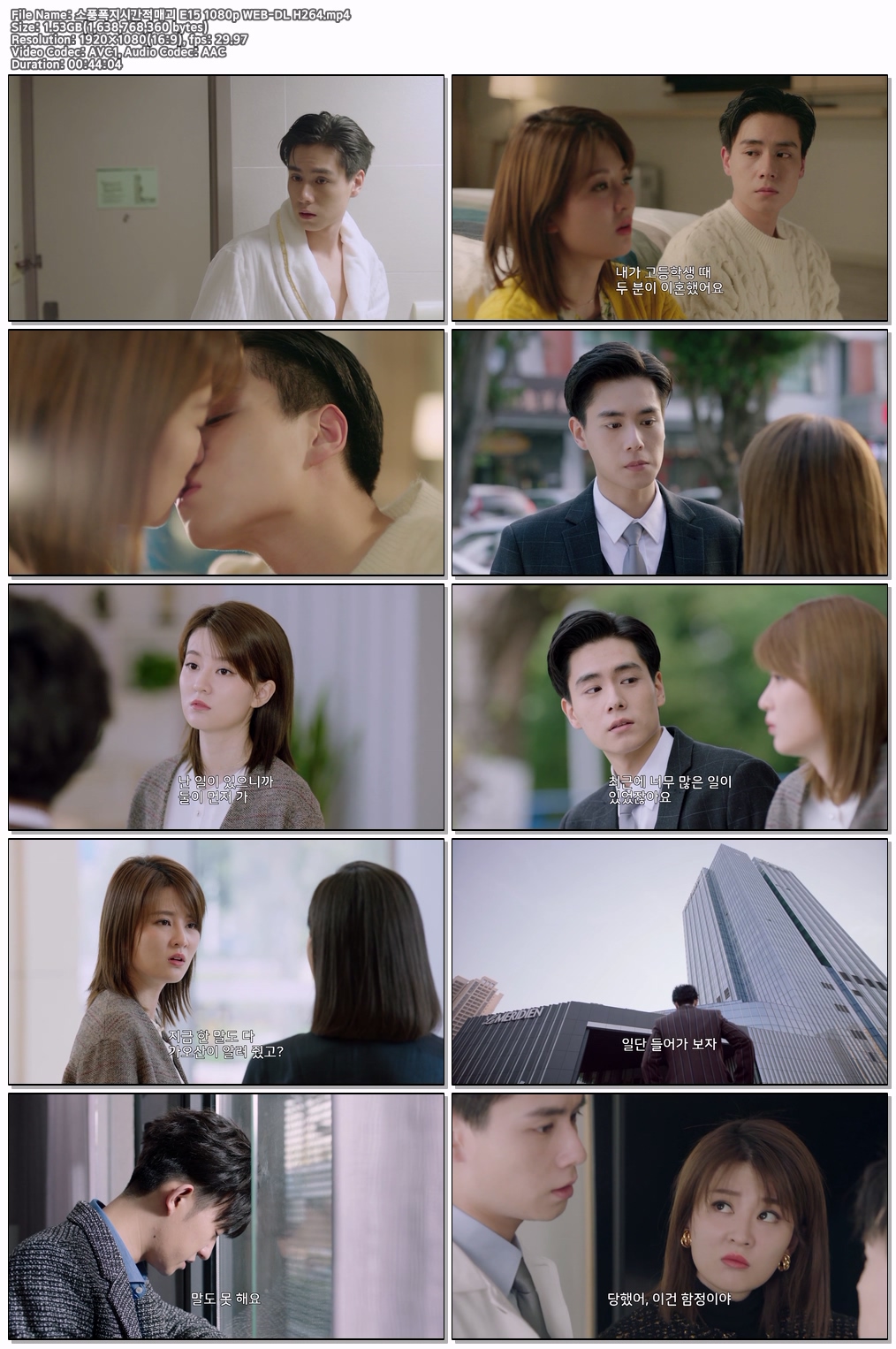 소풍폭지시간적매괴 E15 1080p WEB-DL H264