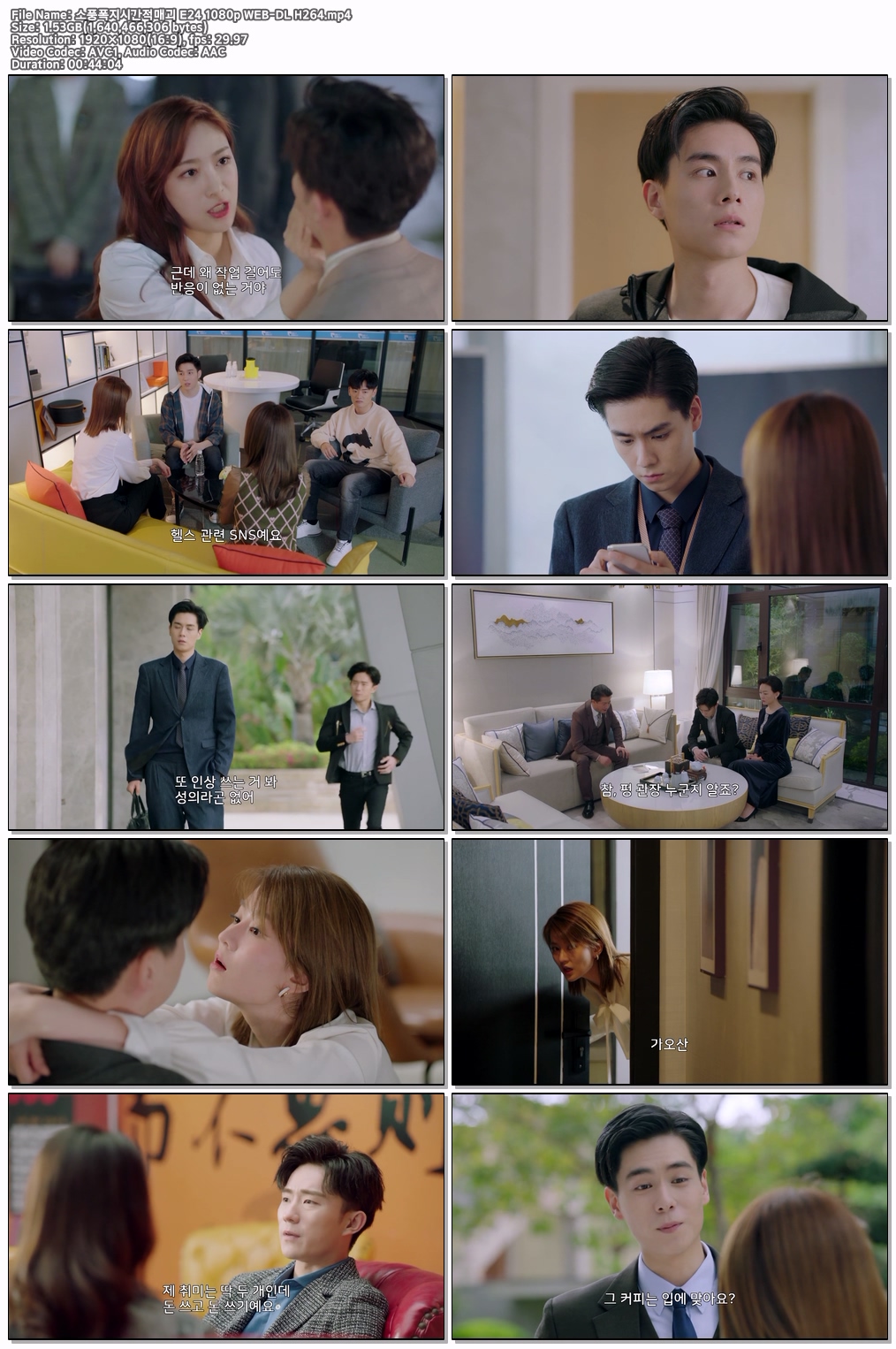 소풍폭지시간적매괴 E24 1080p WEB-DL H264