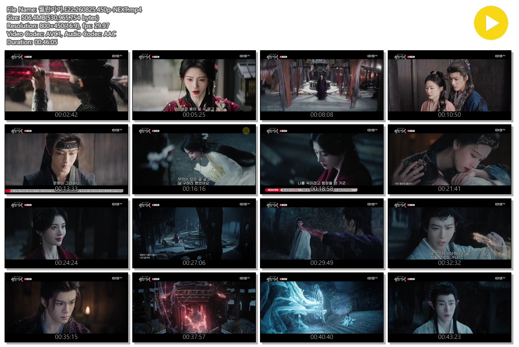 월린기기.E22.260825.450p-NEXT
