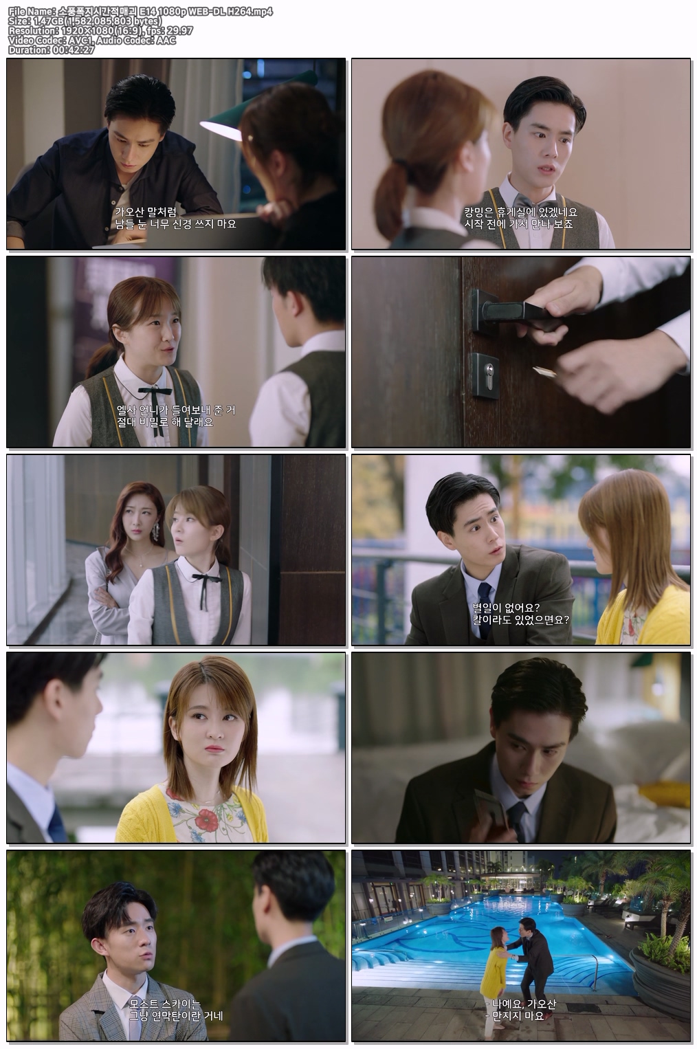 소풍폭지시간적매괴 E14 1080p WEB-DL H264