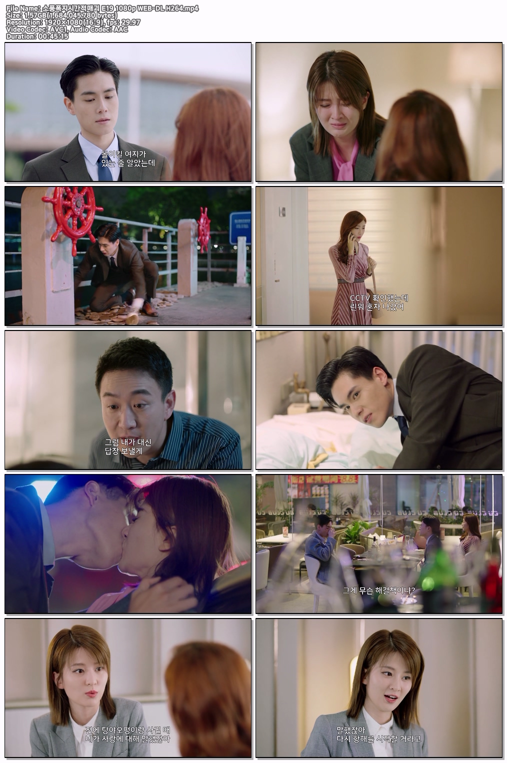 소풍폭지시간적매괴 E19 1080p WEB-DL H264