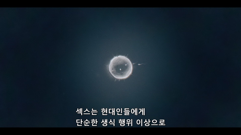 S&X 7부작 한글선택자막
