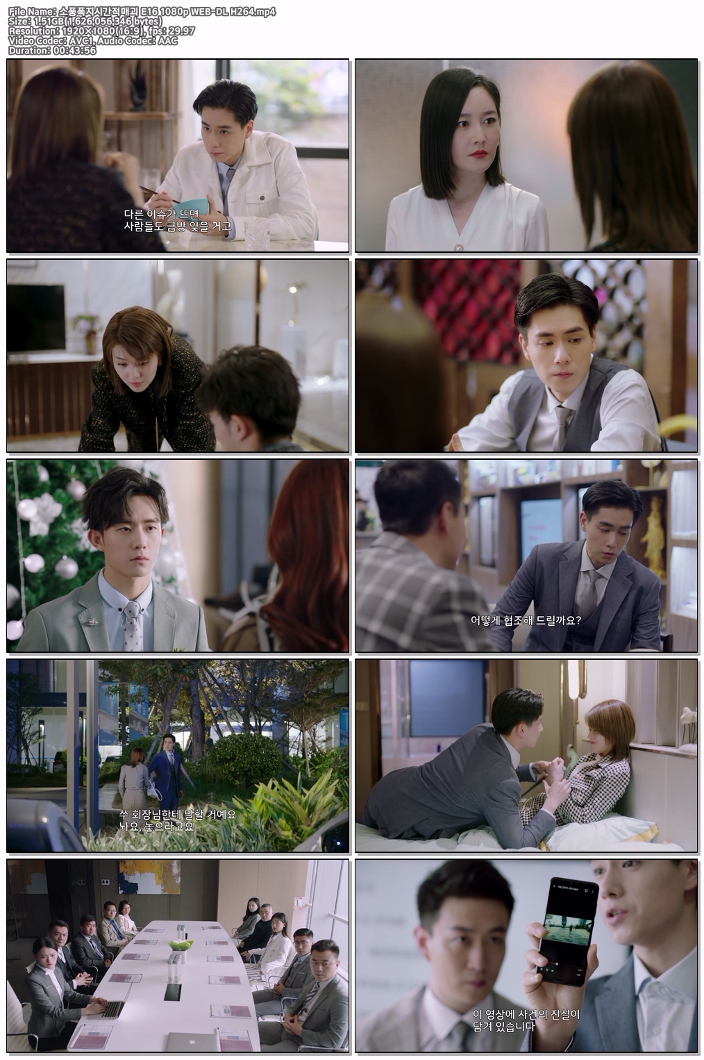 소풍폭지시간적매괴 E16 1080p WEB-DL H264