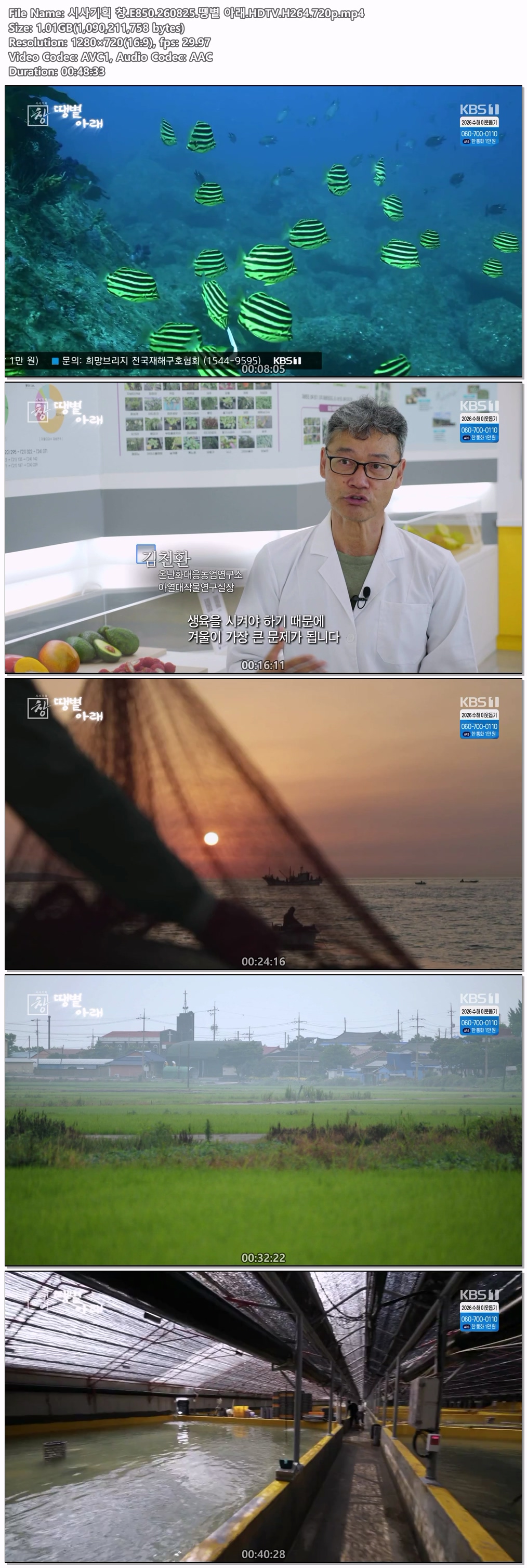 시사기획 창.E850.260825.땡볕 아래.HDTV.H264.720p