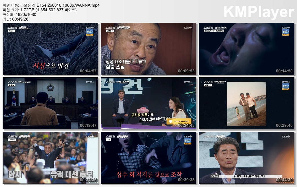 스모킹 건.E154.260818.1080p.WANNA