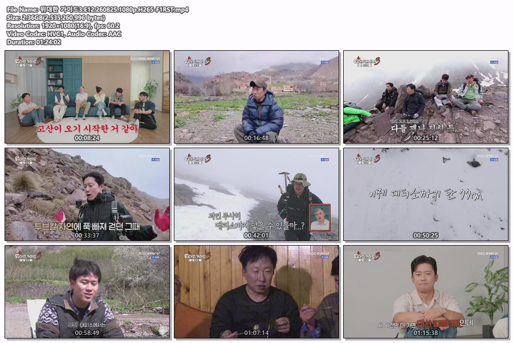위대한 가이드3.E12.260825.1080p.H265-F1RST