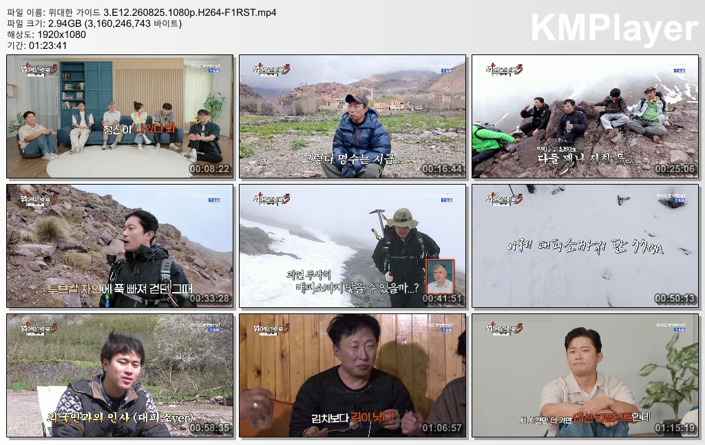 위대한 가이드 3.E12.260825.1080p.H264-F1RST