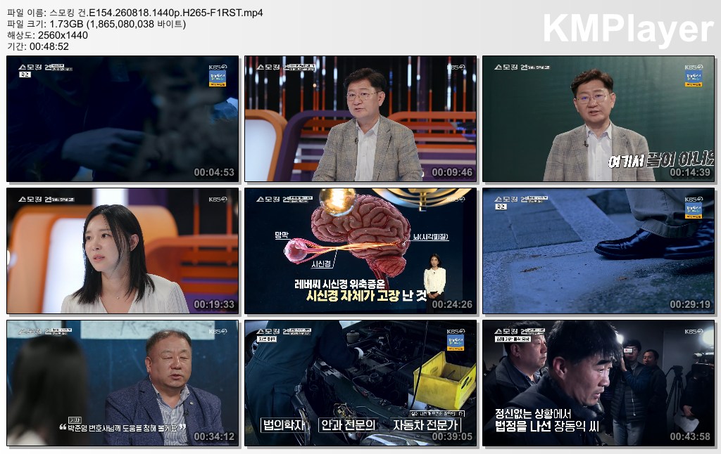 스모킹 건.E154.260818.1440p.H265-F1RST