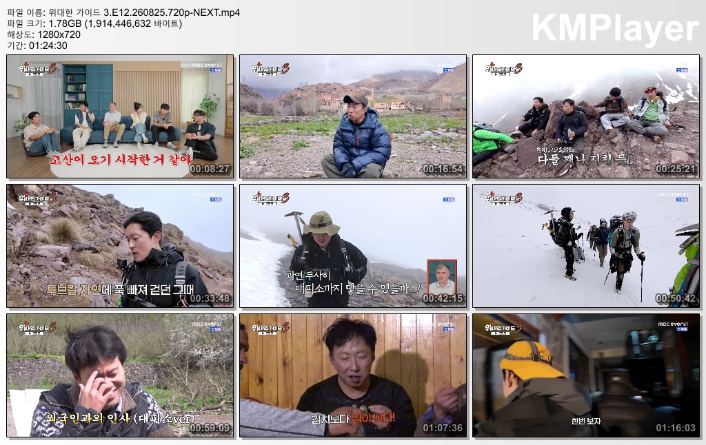 위대한 가이드 3.E12.260825.720p-NEXT