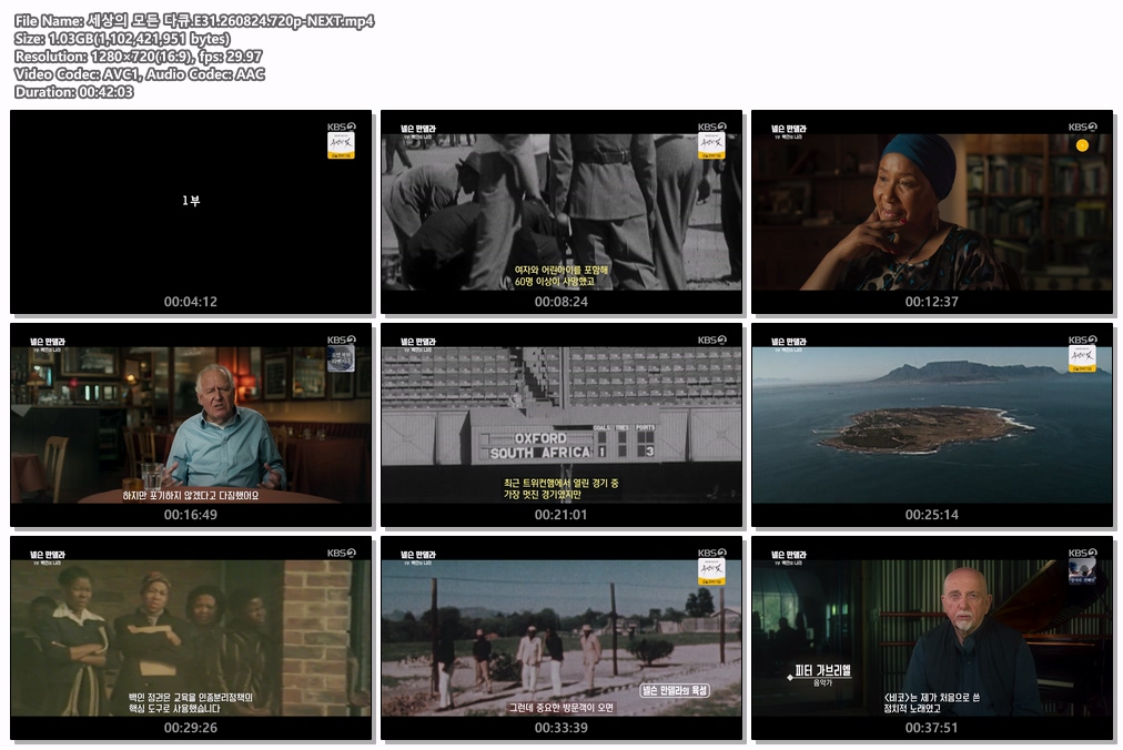 세상의 모든 다큐.E31.260824.720p-NEXT
