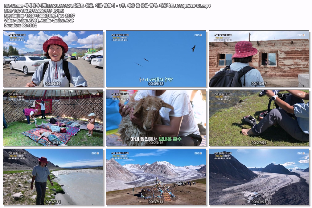 세계테마기행.E3921.260824.와일드 몽골, 여름 탐험기 - 1부. 세상 끝 몽골 빙하, 타왕복드.1080p.WEB-DL